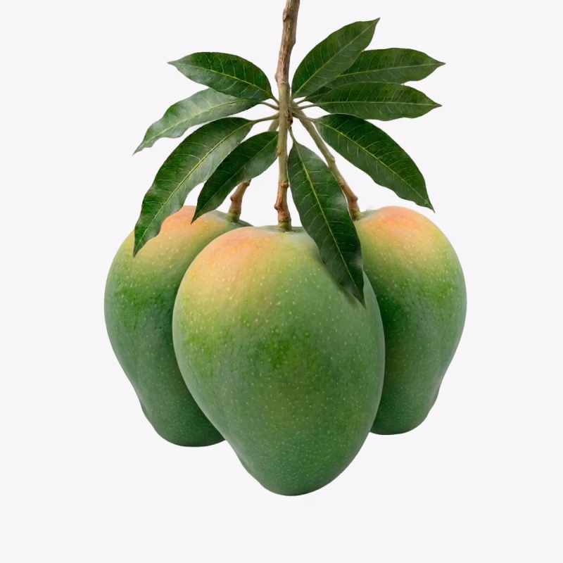 আম্রপালি আম 12 KG - Image 3