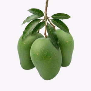 গোপালভোগ আম 12 KG