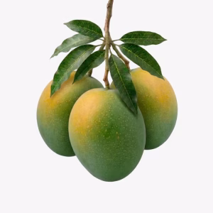 ল্যাংড়া আম 12 KG